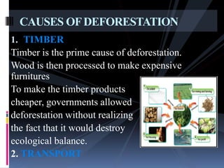 1. TIMBER
Timber is the prime cause of deforestation.
Wood is then processed to make expensive
furnitures
To make the timber products
cheaper, governments allowed
deforestation without realizing
the fact that it would destroy
ecological balance.
2. TRANSPORT
CAUSES OFDEFORESTATION
 
