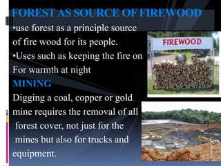 •use forest as a principle source
of fire wood for its people.
•Uses such as keeping the fire on
For warmth at night
MINING
Digging a coal, copper or gold
mine requires the removal of all
forest cover, not just for the
mines but also for trucks and
equipment.
FORESTAS SOURCE OFFIREWOOD
 