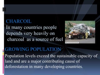 GROWING POPULATION
Population levels exceed the sustainable capacity of
land and are a major contributing cause of
deforestation in many developing countries.
CHARCOIL
In many countries people
depends very heavily on
charcoal as a source of fuel
 