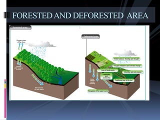 FORESTEDAND DEFORESTED AREA
 