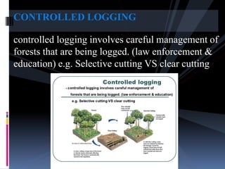 CONTROLLED LOGGING
controlled logging involves careful management of
forests that are being logged. (law enforcement &
education) e.g. Selective cutting VS clear cutting
 