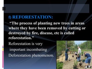 f) REFORESTATION:
“The process of planting new trees in areas
where they have been removed by cutting or
destroyed by fire, disease, etc is called
reforestation.”
Reforestation is very
important incombating
Deforestation phenomenon.
 