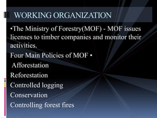 •The Ministry of Forestry(MOF) - MOF issues
licenses to timber companies and monitor their
activities.
Four Main Policies of MOF •
Afforestation
Reforestation
Controlled logging
Conservation
Controlling forest fires
WORKING ORGANIZATION
 