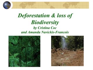 Deforestation & loss of
Deforestation & loss of
     Biodiversity
     Biodiversity
       by Cristina Coc
        by Cristina Coc
 and Amanda Navickis-Francois
 and Amanda Navickis-Francois
 