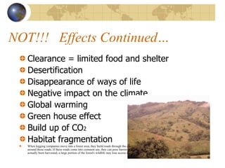 Deforestation | PDF