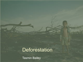 Deforestation Tasmin Bailey 