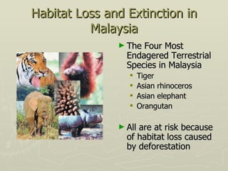 Habitat Loss and Extinction in
          Malaysia
               ► The Four Most
                 Endagered Terrestrial
                 Species in Malaysia
                      Tiger
                      Asian rhinoceros
                      Asian elephant
                      Orangutan

               ► Allare at risk because
                 of habitat loss caused
                 by deforestation
 