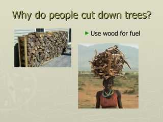Why do people cut down trees?
               ► Use   wood for fuel
 