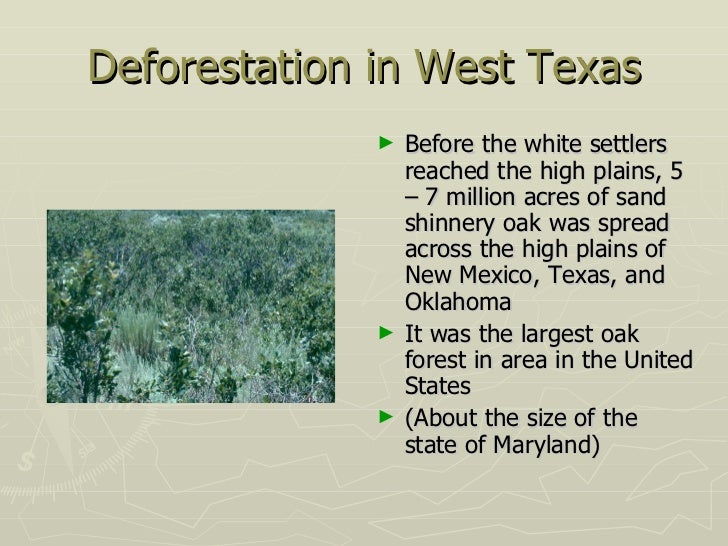 deforestation-35-728.jpg