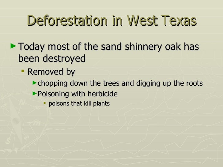 deforestation-36-728.jpg