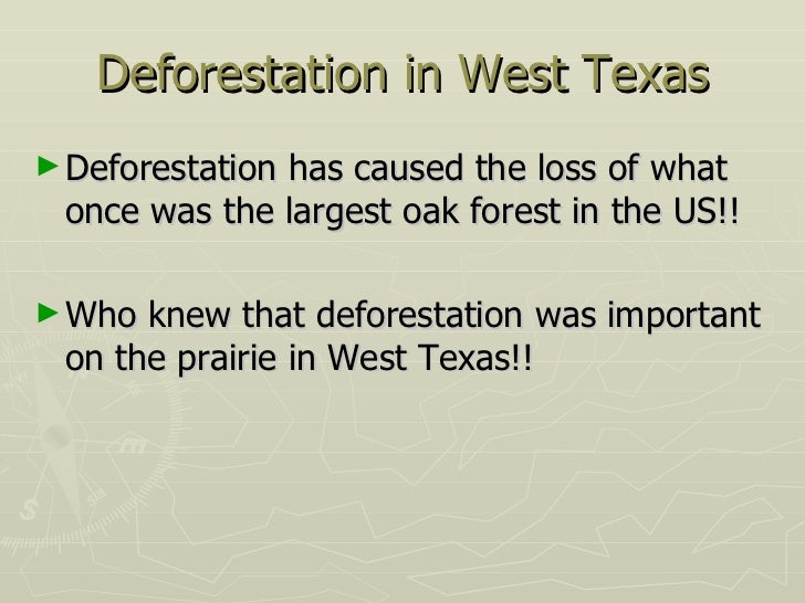 deforestation-38-728.jpg