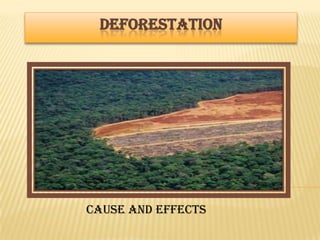 DEFORESTATION




Cause and effects
 