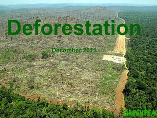 Deforestation
Deforestation
December 2011
