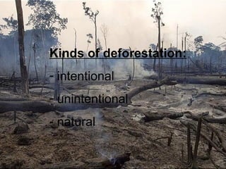 Kinds of deforestation:
- intentional
- unintentional
- natural