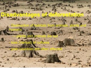 Disadvantages of deforestation
- Destruction of habitats from animals, plants and
humans
→ plants and animals die out
- loss (Verlust) of cultures
- poor countries are often affected