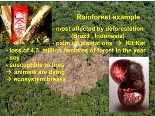 Rainforest example
- most affected by deforestation
(Brazil , Indonesia)
- palm oil plantations Kit Kat
- loss of 4,3 million hectares of forest in the year
- soy
- susceptible to fires
animals are dying
ecosystem breaks