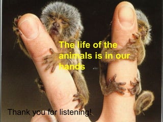 The life of the
animals is in our
hands
Thank you for listening!