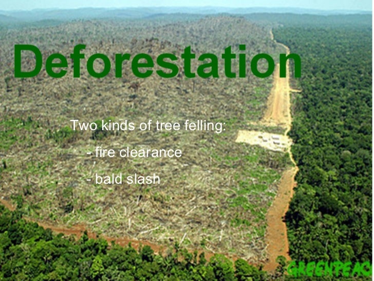 Deforestation