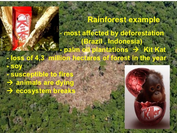 Deforestation rainforest ecosystem diagram affected by deforestation 