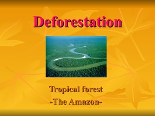 Deforestation Tropical forest -The Amazon- 