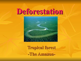 Deforestation Tropical forest -The Amazon- 