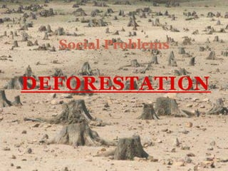 Social Problems


DEFORESTATION
 