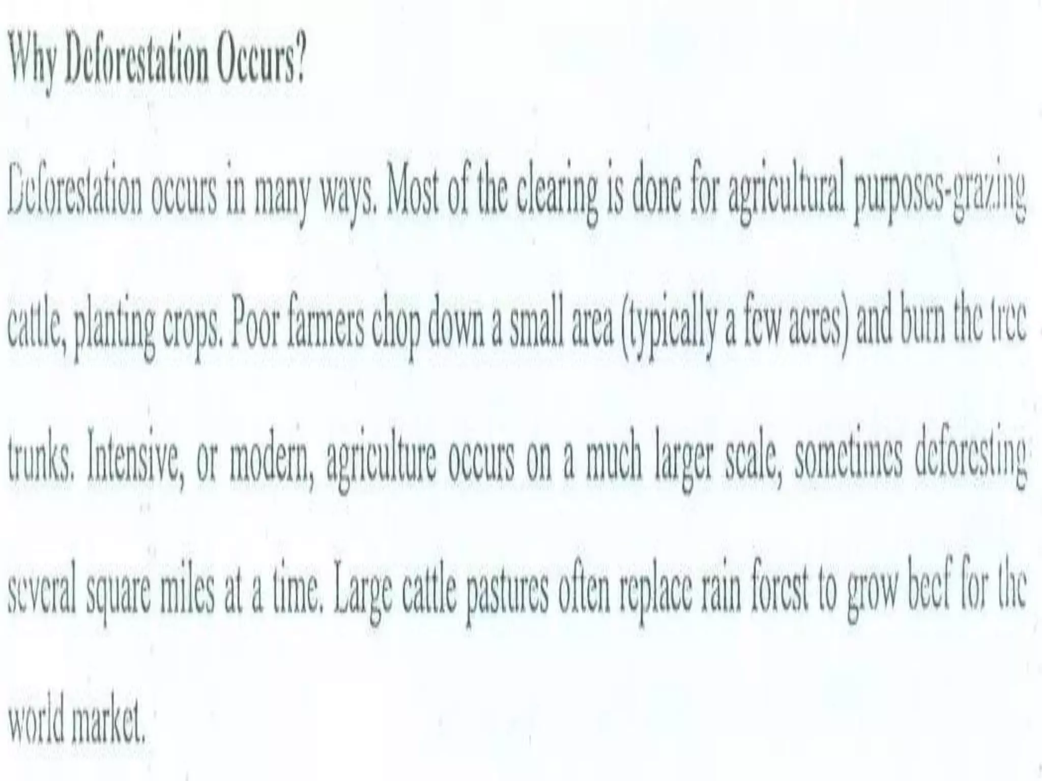 Deforestation BY Muhammad Fahad Ansari  12IEEM14