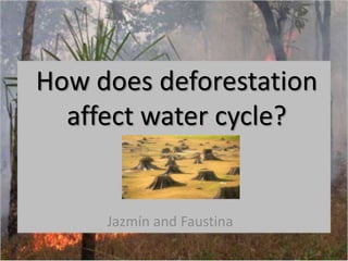 How does deforestation
affect water cycle?
Jazmín and Faustina
 
