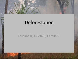 Deforestation
Carolina R, Julieta C, Camila R.
 