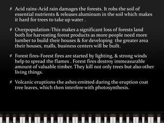 Acid rains-Acid rain damages the forests. It robs the soil of
essential nutrients & releases aluminum in the soil which makes
it hard for trees to take up water .
Overpopulation-This makes a significant loss of forests land
both for harvesting forest products as more people need more
lumber to build their houses & for developing the greater area
their houses, malls, business centers will be built.
Forest fires-Forest fires are started by lighting, & strong winds
help to spread the flames . Forest fires destroy immeasurable
amount of valuable timber. They kill not only trees but also other
living things.
Volcanic eruptions-the ashes emitted during the eruption coat
tree leaves, which then interfere with photosynthesis.

 
