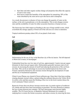 • their litter and other organic residue change soil properties that affect the capacity
of soil to store water.
• their leaves control the humidity of the atmosphere by transpiring. 99% of the
water absorbed by the roots moves up to the leaves and is transpired.
As a result, the presence or absence of trees can change the quantity of water on the
surface, in the soil or groundwater, or in the atmosphere. This in turn changes erosion
rates and the availability of water for either ecosystem functions or human services.
The forest may have little impact on flooding in the case of large rainfall events, which
overwhelm the storage capacity of forest soil if the soils are at or close to saturation.
Tropical rainforests produce about 30% of our planet's fresh water.
Soil
Deforestation for the use of clay in the Brazilian city of Rio de Janeiro. The hill depicted
is Morro da Covanca, in Jacarepaguá
Undisturbed forest has very low rates of soil loss, approximately 2 metric tons per square
kilometer (6 short tons per square mile). Deforestation generally increases rates of soil
erosion, by increasing the amount of runoff and reducing the protection of the soil from
tree litter. This can be an advantage in excessively leached tropical rain forest soils.
Forestry operations themselves also increase erosion through the development of roads
and the use of mechanized equipment.
China's Loess Plateau was cleared of forest millennia ago. Since then it has been eroding,
creating dramatic incised valleys, and providing the sediment that gives the Yellow River
its yellow color and that causes the flooding of the river in the lower reaches (hence the
river's nickname 'China's sorrow').
Removal of trees does not always increase erosion rates. In certain regions of southwest
US, shrubs and trees have been encroaching on grassland. The trees themselves enhance
the loss of grass between tree canopies. The bare intercanopy areas become highly
erodible. The US Forest Service, in Bandelier National Monument for example, is
studying how to restore the former ecosystem, and reduce erosion, by removing the trees.
 