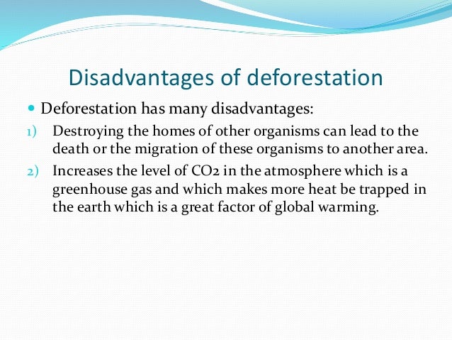 disadvantages of deforestation essay