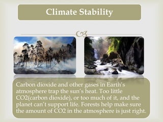 Climate Stability 
 
Carbon dioxide and other gases in Earth’s 
atmosphere trap the sun’s heat. Too little 
CO2(carbon dioxide), or too much of it, and the 
planet can’t support life. Forests help make sure 
the amount of CO2 in the atmosphere is just right. 
 