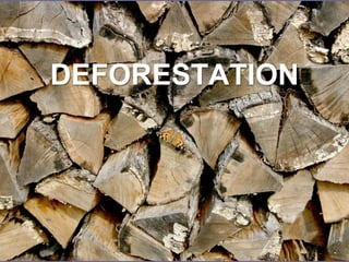 DEFORESTATION 
 