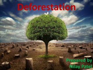 Prepared by
Nilay Patel
Deforestation
 