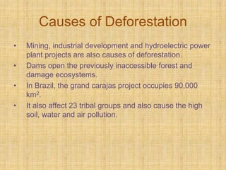 deforestation essay on malayalam