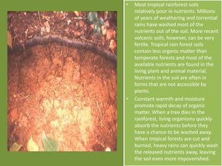 • Most tropical rainforest soils
relatively poor in nutrients. Millions
of years of weathering and torrential
rains have washed most of the
nutrients out of the soil. More recent
volcanic soils, however, can be very
fertile. Tropical rain forest soils
contain less organic matter than
temperate forests and most of the
available nutrients are found in the
living plant and animal material.
Nutrients in the soil are often in
forms that are not accessible by
plants.
• Constant warmth and moisture
promote rapid decay of organic
matter. When a tree dies in the
rainforest, living organisms quickly
absorb the nutrients before they
have a chance to be washed away.
When tropical forests are cut and
burned, heavy rains can quickly wash
the released nutrients away, leaving
the soil even more impoverished.
 