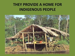 THEY PROVIDE A HOME FOR
INDIGENOUS PEOPLE
 