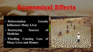 Deforestation | PPTX