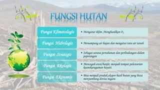 • Mengatur iklim ,Menghasilkan O2Fungsi Klimatologis
• Menampung air hujan dan mengatur tata air tanahFungsi Hidrologis
• Sebagai sarana pertahanan dan perlindungan dalam
peperanganFungsi Strategis
• Mencegah erosi/banjir, menjadi tempat pelestarian
keanekaragaman hayati.Fungsi Ekologis
• Bisa menjadi produk ekspor hasil hutan yang bissa
menyumbang devisa negaraFungsi Ekonomis
 