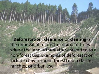 Deforestation | PPTX