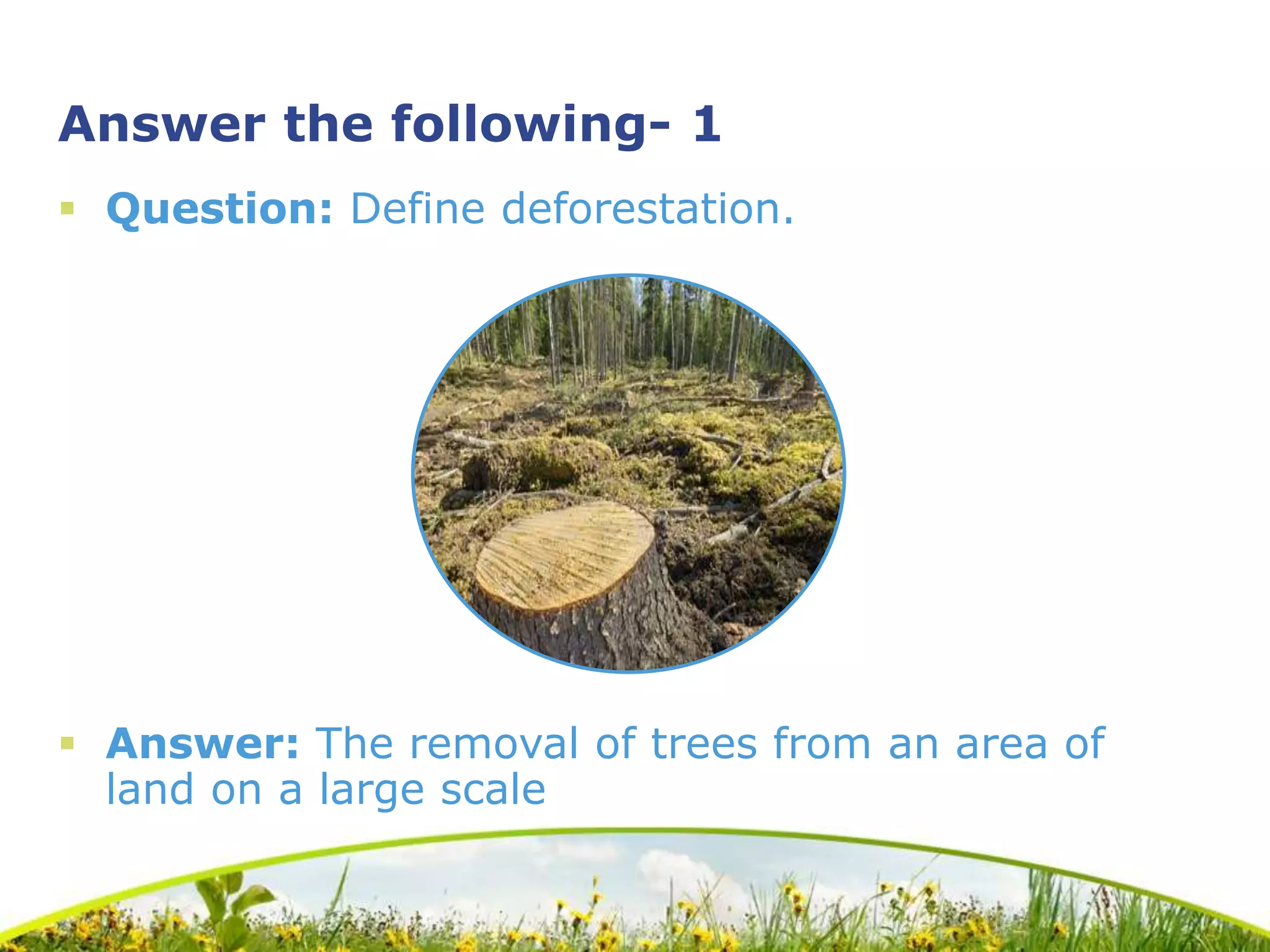 Deforestation- A quick summary and encouraging questions | PPTX