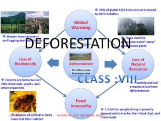 DEFORESTATION
07-07-2015 PREPARED BY : A.Y.A (RIE MYSORE NCERT) 1
 