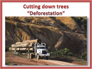 Deforestation
3 October 2015 7
 