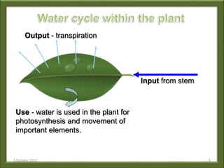 Input from stem
Output - transpiration
Use - water is used in the plant for
photosynthesis and movement of
important elements.
3 October 2015 9
 