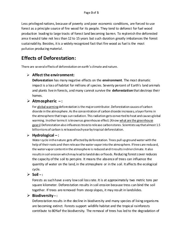 deforestation essay cause and effect