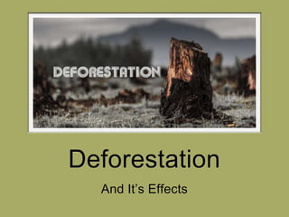 Deforestation
And It’s Effects
 