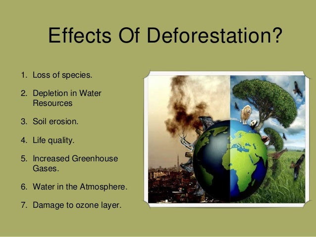 Effects Of Deforestation Thesis Defense Presentation – DKRISP