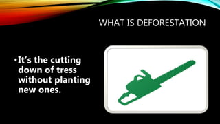WHAT IS DEFORESTATION
•It’s the cutting
down of tress
without planting
new ones.
 
