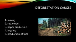DEFORESTATION CAUSES
1. mining
2. settlement
3. paper production
4. logging
5. production of fuel
 